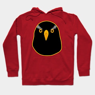 Black Goshawk with yellow eyes Hoodie